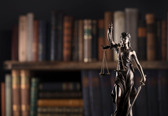 Lady Justice statue before law books representing Jocelyne A. Macelloni’s appointment as Vice Chair